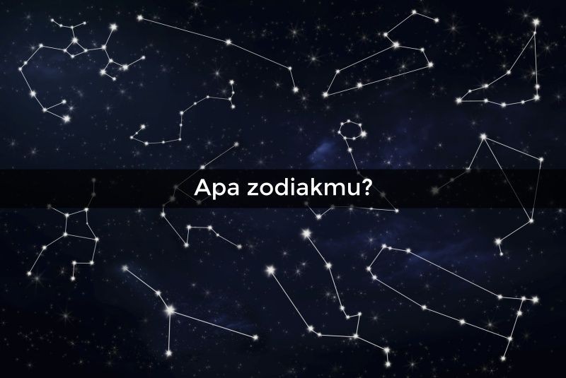 [QUIZ] Berdasarkan Zodiakmu, Member Enhypen Ini Cocok Jadi Partner Travelingmu!