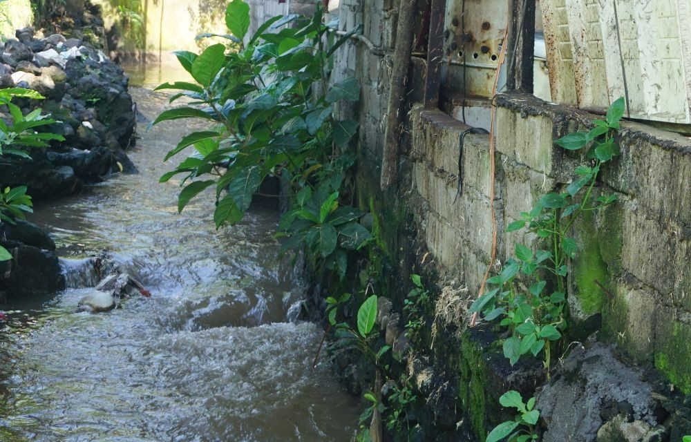 Sentra Pemotongan Ayam di Klungkung 3 Tahun Buang Limbah ke Sungai