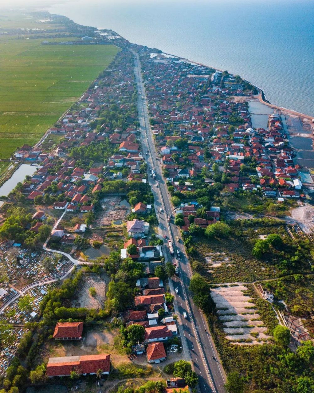 Jaga Lingkungan di Jabar, PT MUJ ONWJ Siap Tanam Ribuan Bibit Mangrove