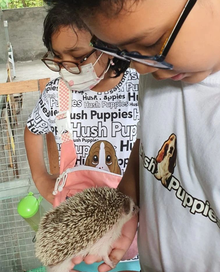 Info Tiket dan Jam Buka Wisata Satwa di Jogja, Sato Loka Mini Zoo 