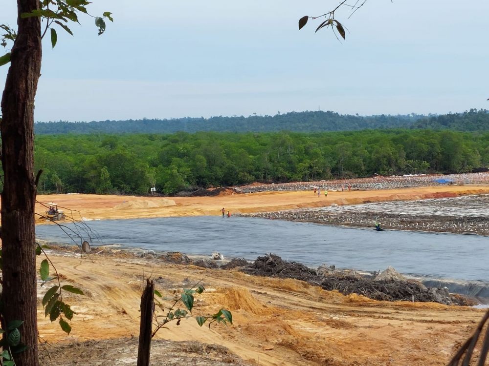 Mangrove Teluk Balikpapan Rusak, Diduga Akibat Proyek Smelter Nikel 