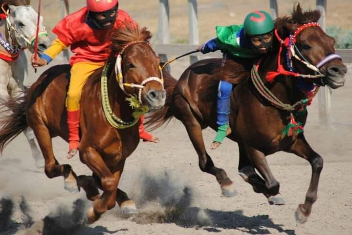 Pakai Joki Cilik pada Event Pacuan Kuda Disebut Melanggar HAM