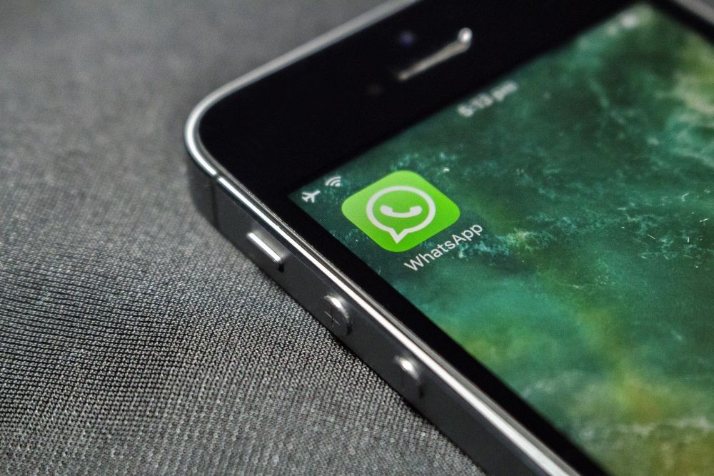 Cara Untung Sukses Berdagang Buah di Pasar dengan WhatApp Business