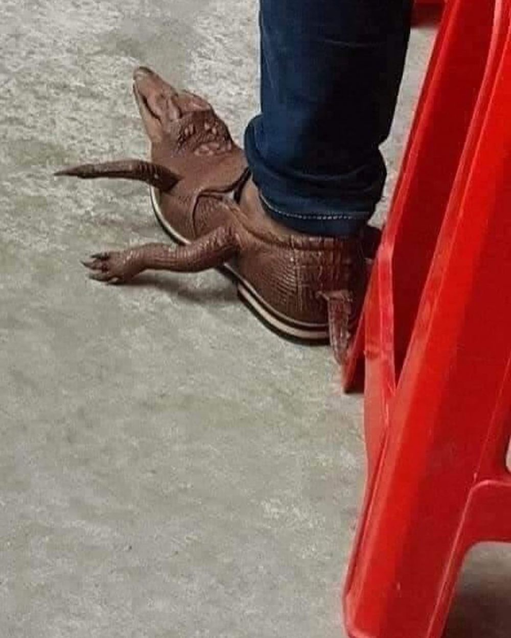 Ботинки крокодилы с лапами