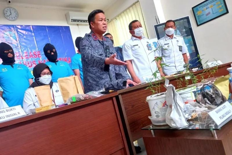 Tanam Ganja di Pot, Seorang Warga Sleman Ditangkap BNN