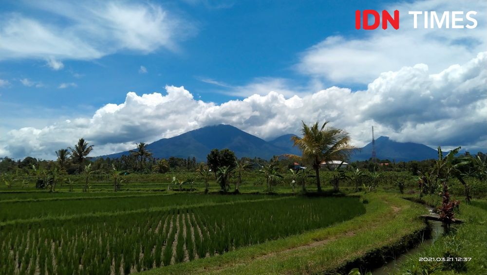 Daftar Gunung di Bali, Paling Tinggi di Karangasem