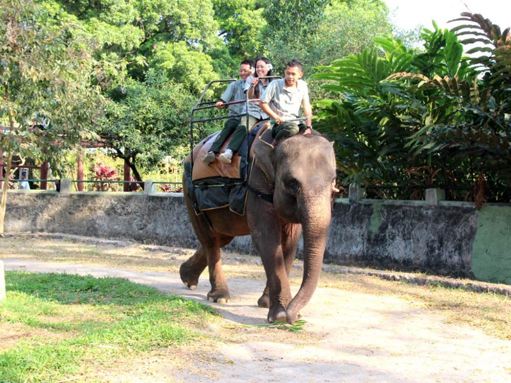 Gembira Loka Zoo Jogja: Lokasi, Rute, Harga Tiket dan Tips Wisata