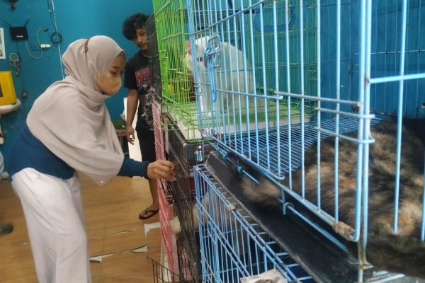 Jelang Lebaran, Jasa Penitipan Hewan Peliharaan di Malang Kewalahan