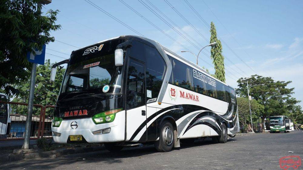 Daftar Harga Tiket 15 PO Bus Jakarta-Surabaya