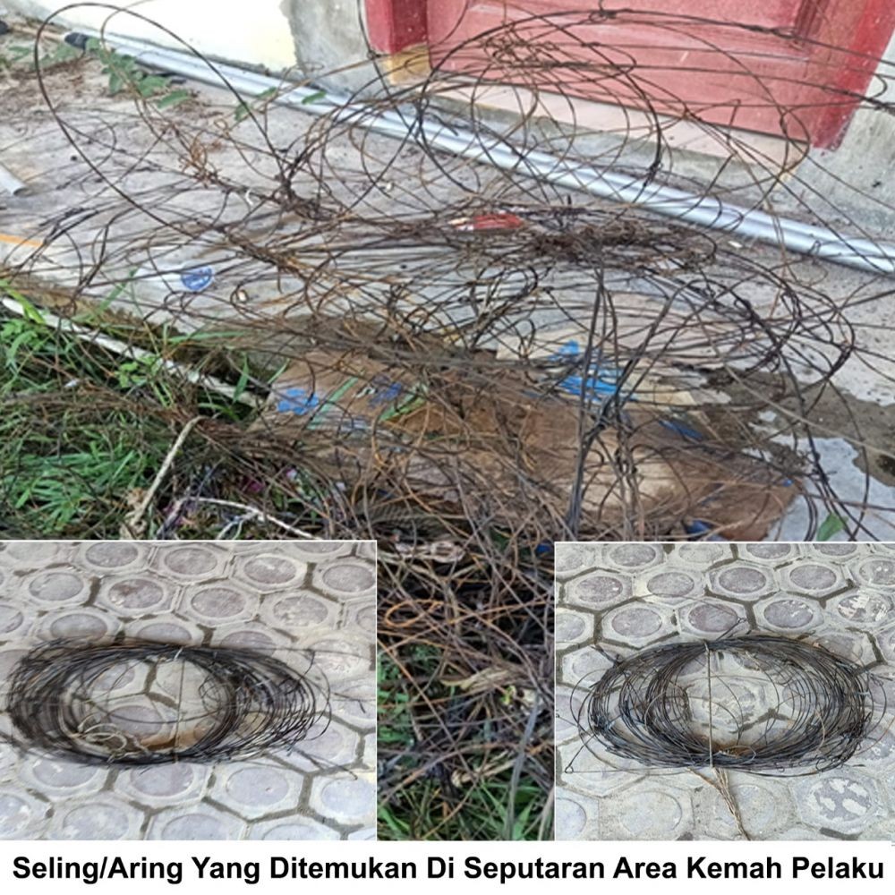 2 Warga Tapteng  Tersangka Kasus Kematian 3 Harimau Sumatra di Aceh