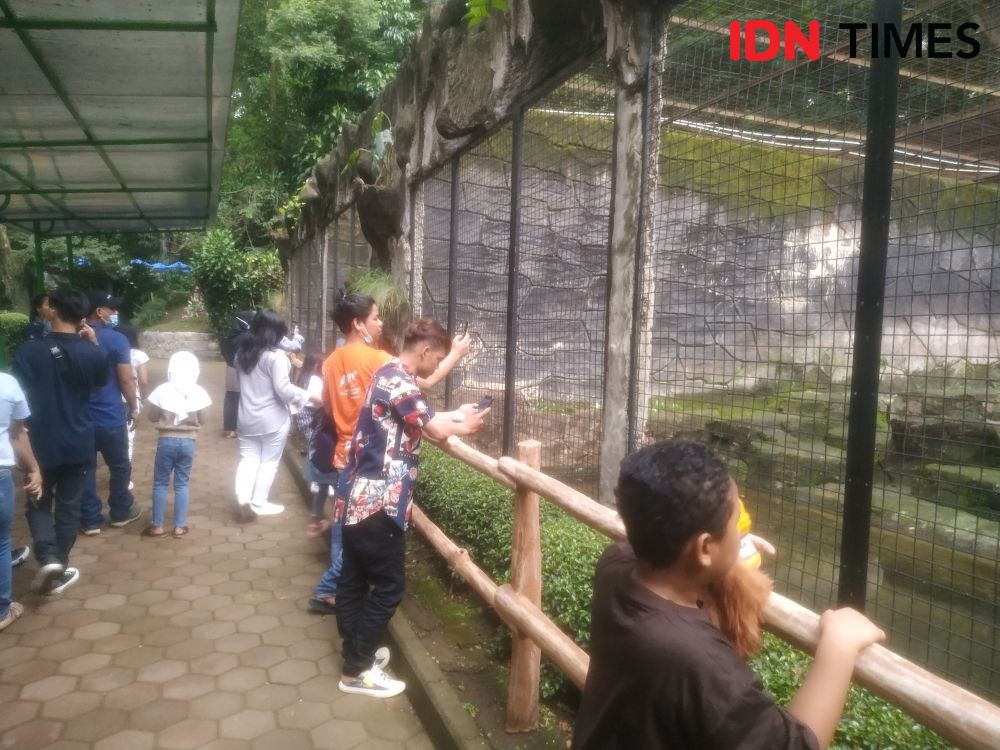 Lebaran 2022, Kebun Binatang Bandung Diserbu Wisatawan