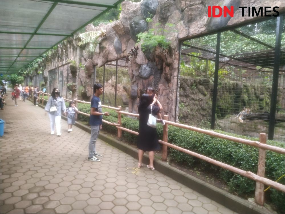 Lebaran 2022, Kebun Binatang Bandung Diserbu Wisatawan