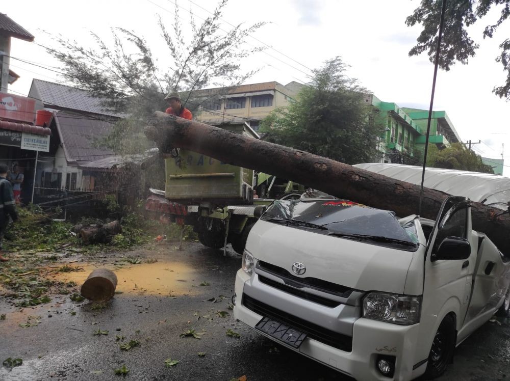 2 Mobil di Medan Tertimpa Pohon, Salah Satunya Crazy Rich Sibolga