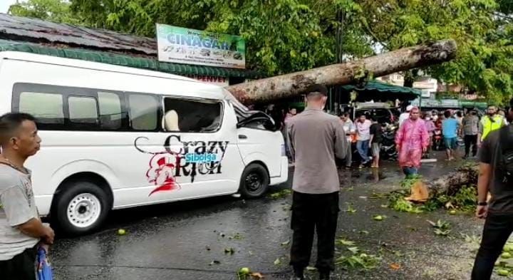 2 Mobil di Medan Tertimpa Pohon, Salah Satunya Crazy Rich Sibolga