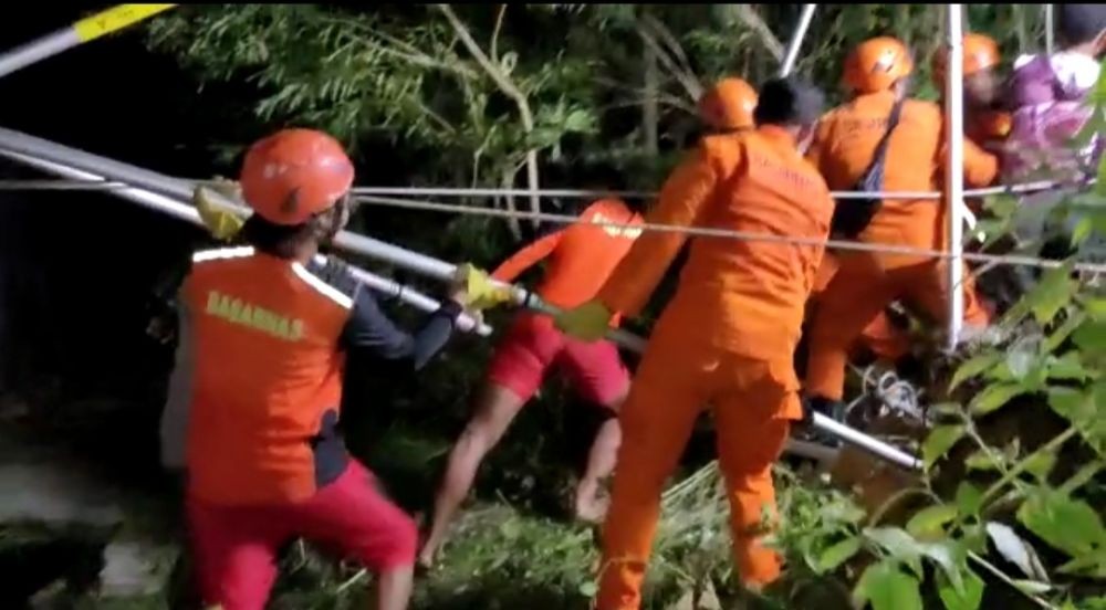Sapi Betina Hamil Terjepit di Kubangan, Dievakuasi Basarnas Bali