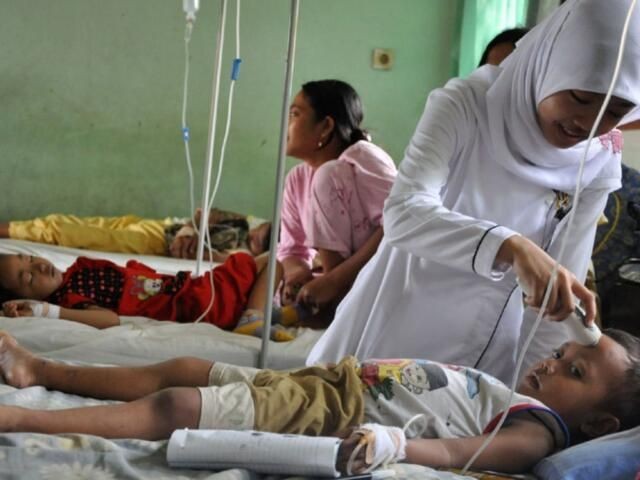 Menkes Yakin Nyamuk Mandul Bisa Dipakai untuk Tekan Kasus DBD di Semarang
