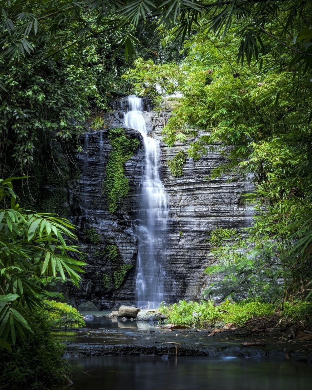 10 Tempat Wisata Hits di Bali Barat, Keindahannya Bikin Ogah Pulang