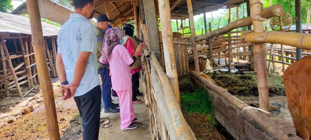 Lombok Tengah Tutup Pasar Ternak karena Wabah PMK