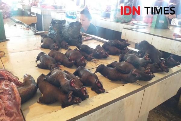 Penjualan Daging Kelelawar di Pasar Ekstrem Tomohon Kembali Menggeliat