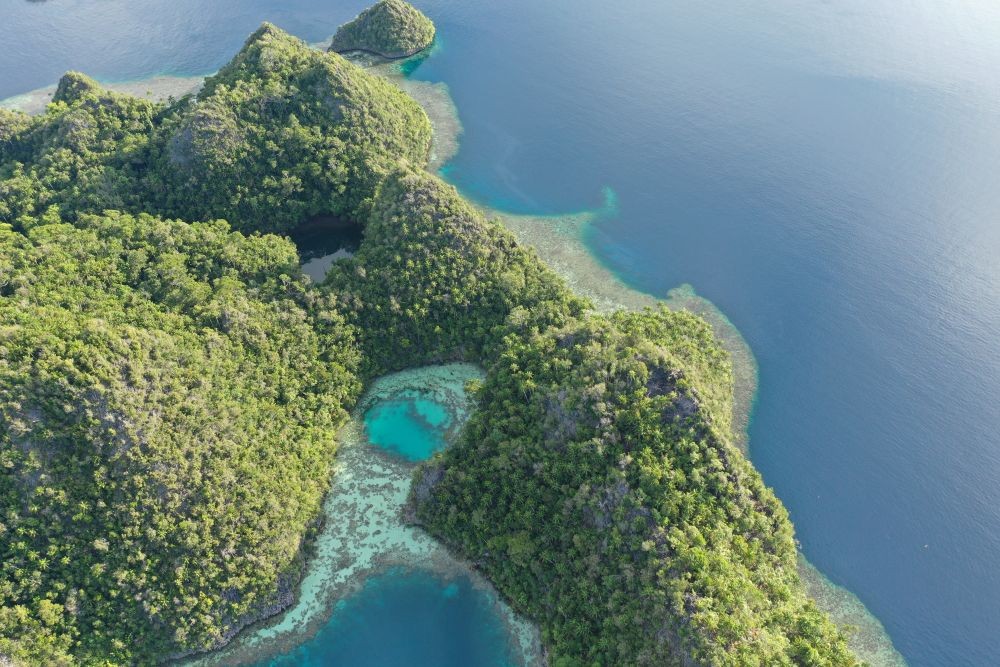 10 Alasan Kenapa Kamu Harus ke Raja Ampat Sekali Seumur Hidup 