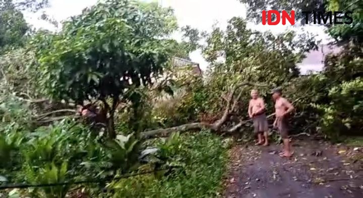 Hujan Es Landa Kota Binjai, Pohon dan Baliho Tumbang Diterpa Angin