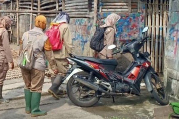 BBVet Wates Ambil 5 Sampel Domba dari Pedagang di Bantul