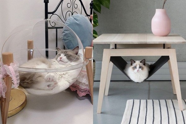 10 Ide Furnitur Unik buat Pencinta Kucing, Ada Kasur sampai Hammock!