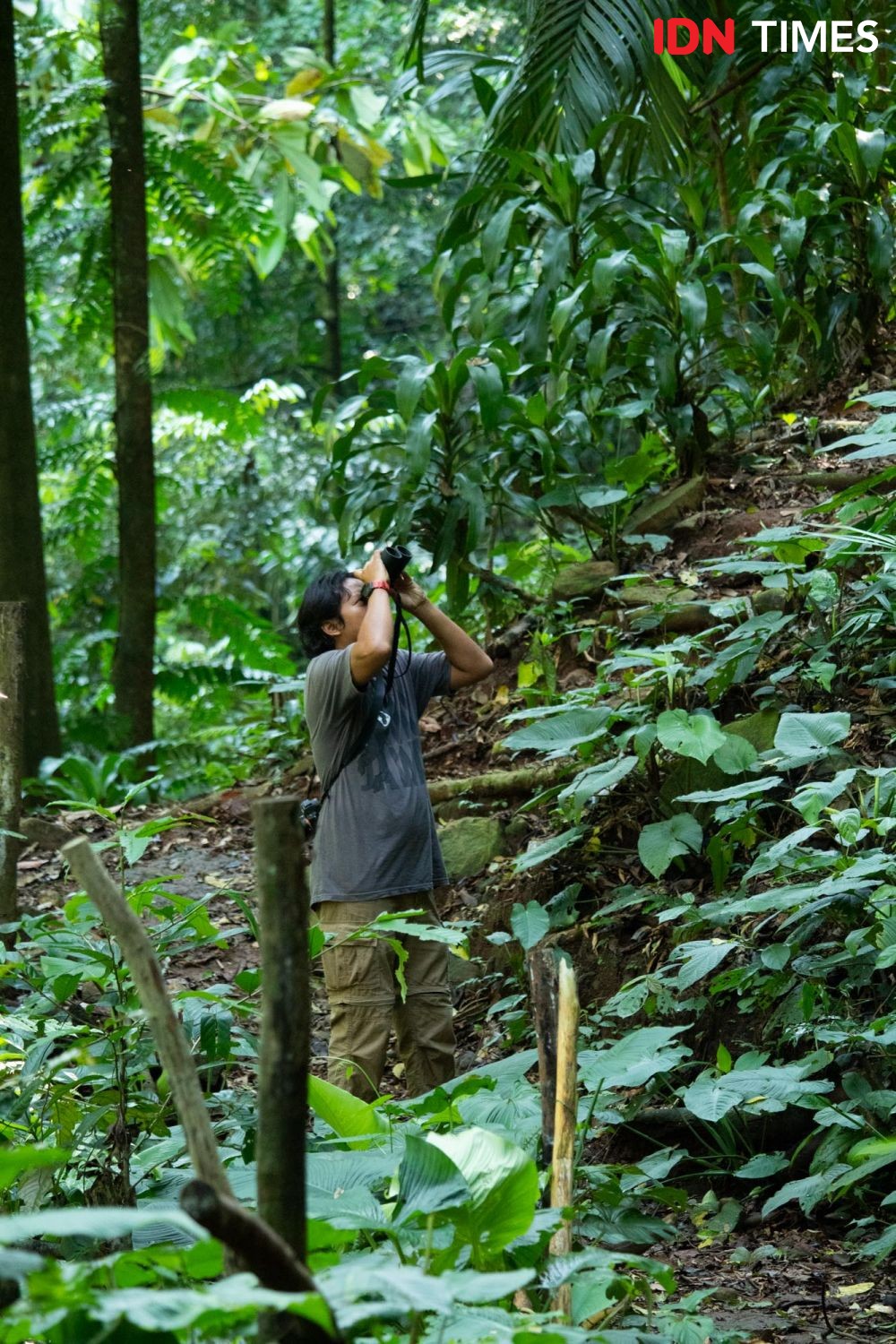 Kopi Owa, Solusi Mapan Konservasi Hutan Hujan Tropis di Pekalongan