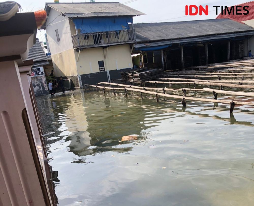 Warning! BMKG Imbau Masyarakat Pesisir Lampung Waspada Banjir Rob