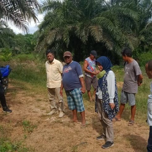 Penembakan Pencurian Kelapa Sawit di Kalbar yang Tinggalkan Tanya