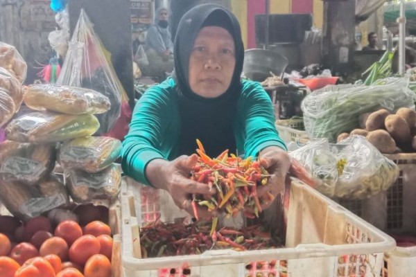 Harga Cabai di Lamongan Makin 'Pedas', Sekilo Rp100 Ribu