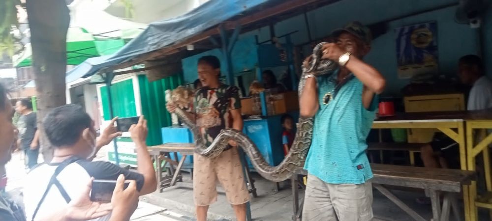 Didatangi Ular 3 Meter, Pengunjung Warkop Semburat!