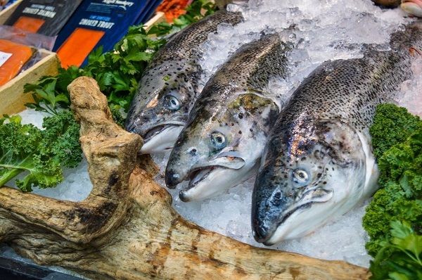 Ikan Segar dari Sulsel Diekspor Langsung ke Hongkong