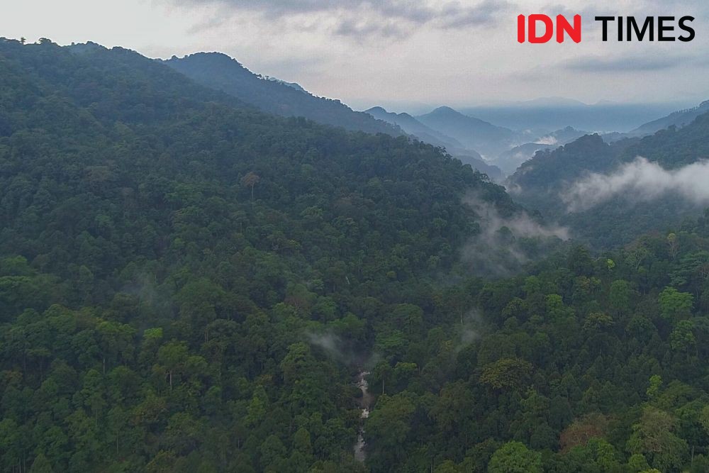 Peduli Konservasi dari Pemanfaatan Energi di Hutan Petungkriyono