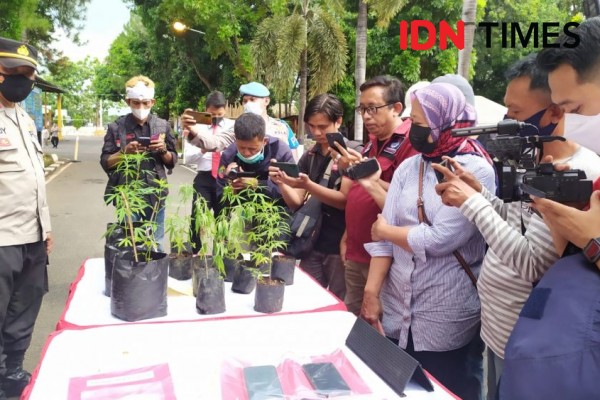 Tukang Kebun di Purwakarta Nyambi Tanam Ganja di Pinggir Jalan Tol