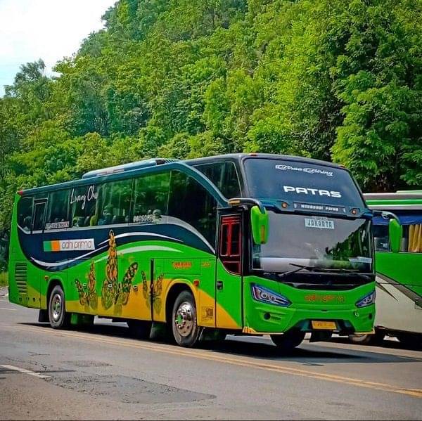 5 Bus Dengan Pramugari, Fasilitasnya Juga Mewah