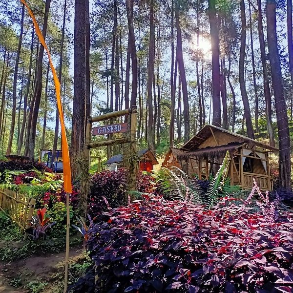 30 Tempat Wisata Di Lembang Bandung Terbaru Yang Paling Hits