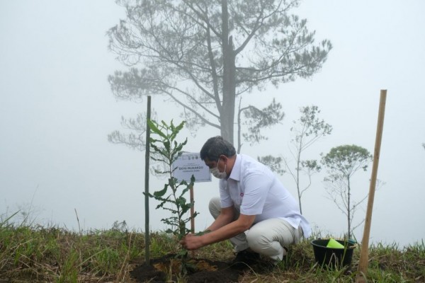 Tahun Ini Inalum akan Tanam 300 Ribuan Bibit Pohon di Danau Toba
