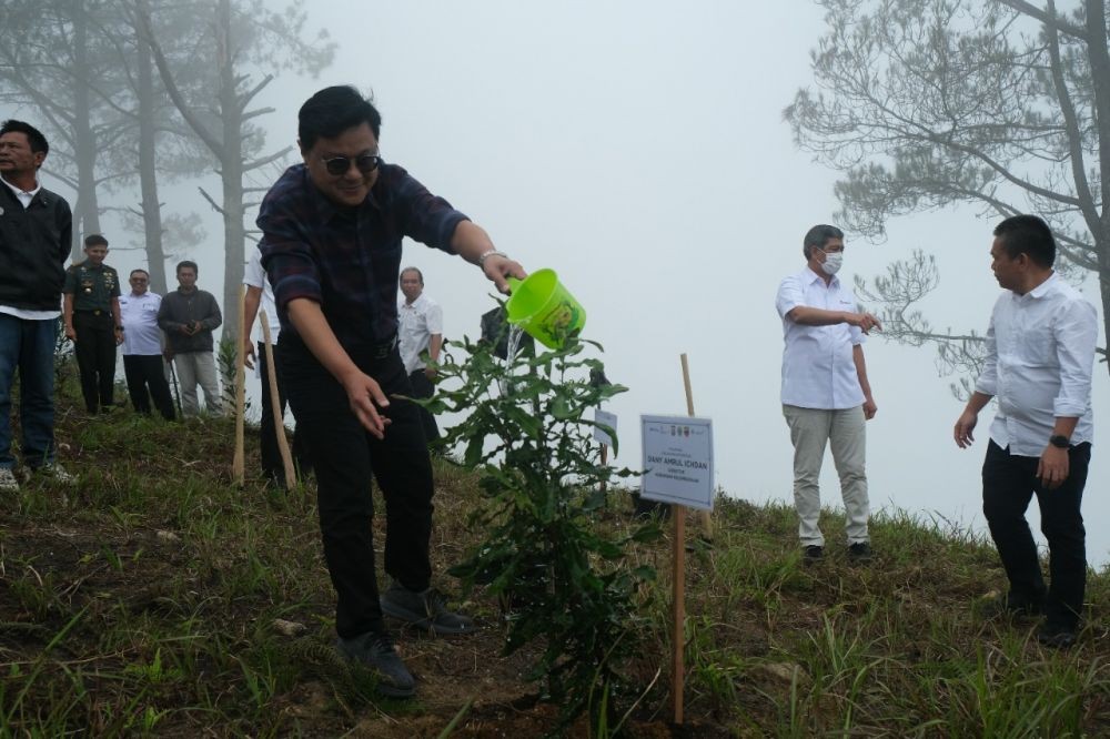 Tahun Ini Inalum akan Tanam 300 Ribuan Bibit Pohon di Danau Toba