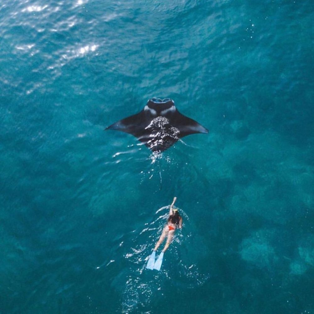 10 Alasan Kenapa Kamu Harus Liburan Ke Labuan Bajo