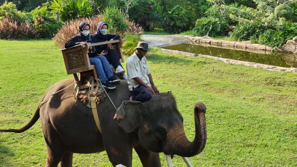 15 Tempat Wisata Bandar Lampung, Healing Gak Bikin Kantong Bolong