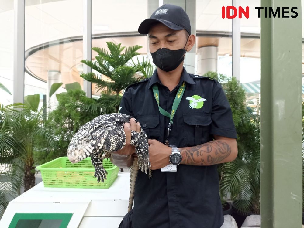 Animal Xperience di Delipark Mall, Wisata Keluarga saat Libur Sekolah