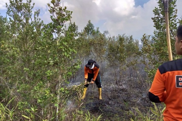 Dua Hektare Lahan Terbakar di Sukamara Berhasil Dipadamkan
