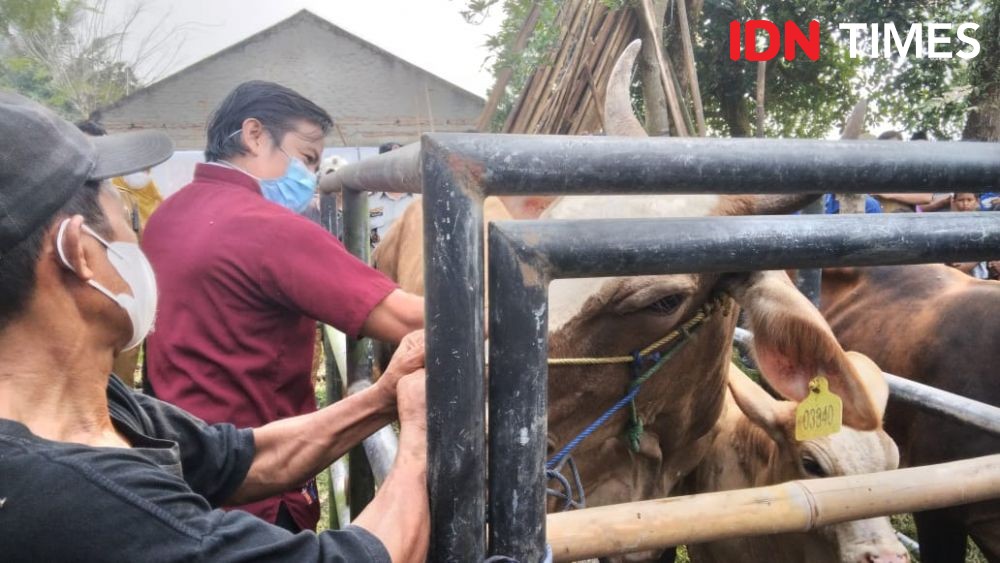Ribuan Hewan Ternak di Kabupaten Tangerang Divaksinasi PMK