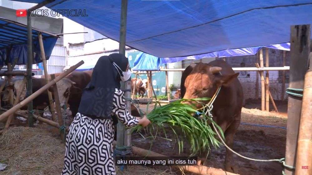 10 Potret Ria Ricis Hunting Hewan Kurban