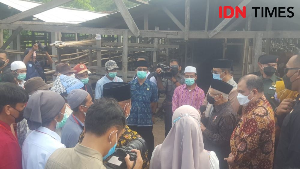 Kepala BNPB Ungkap Penyebab Lonjakan Kasus PMK di Sumbawa 