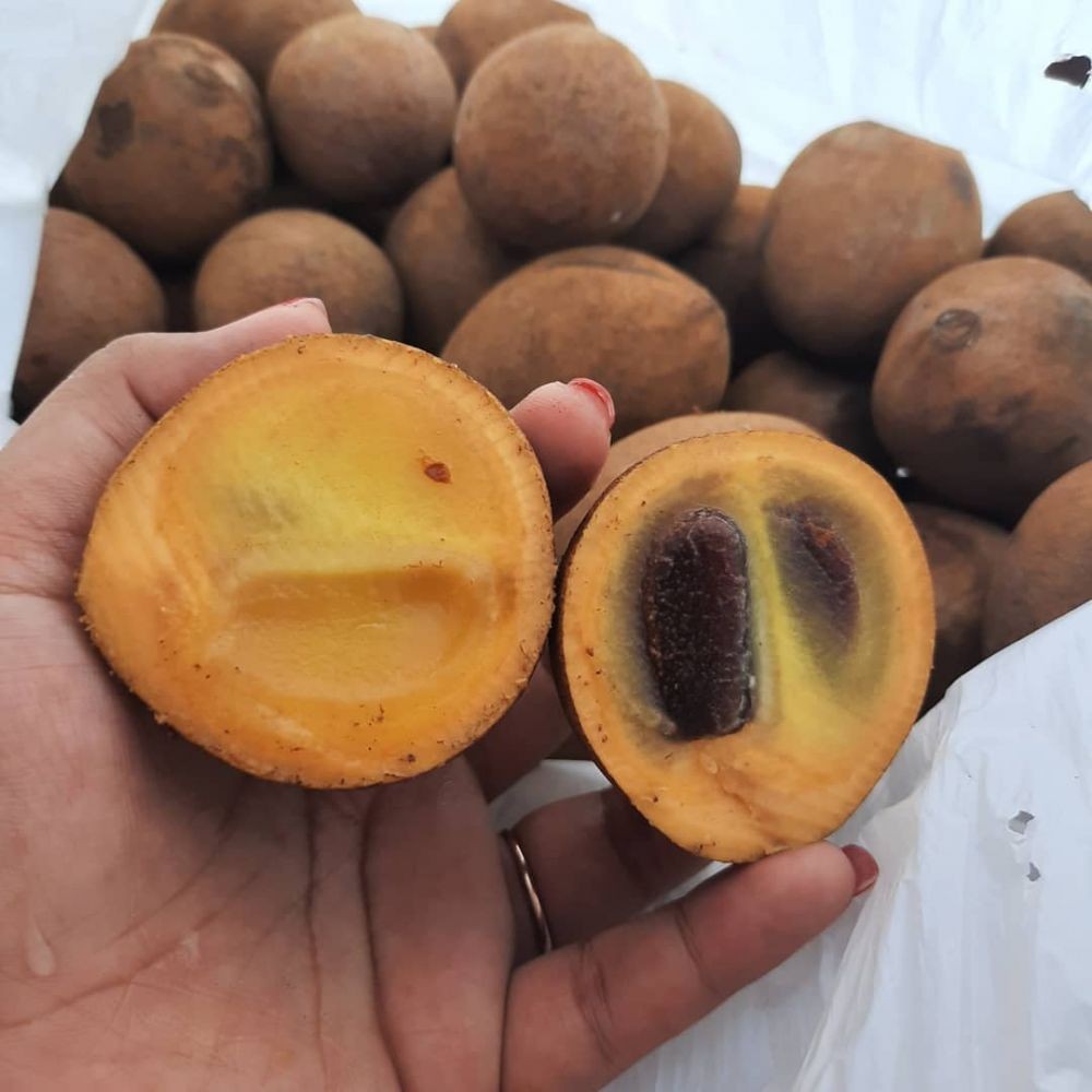 Mengenal Buah Kepel, Buah Tropis yang Kini Mulai Langka