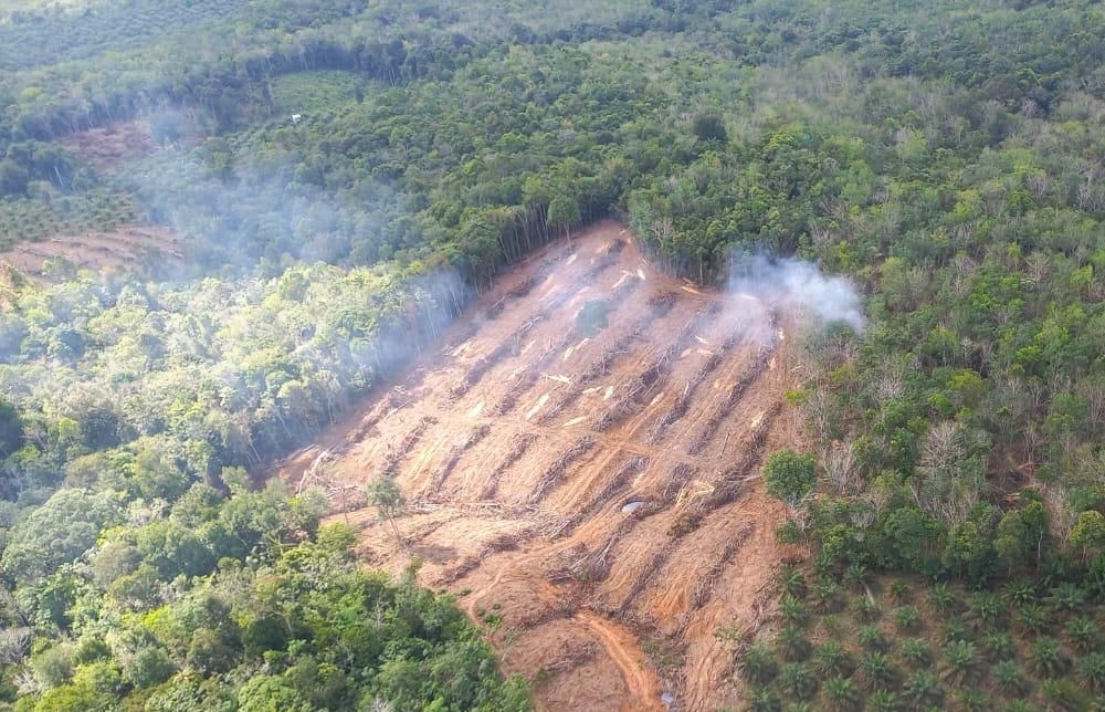 10 Hektare Lahan Rawa Gambut di Kabupaten OKI Terbakar 