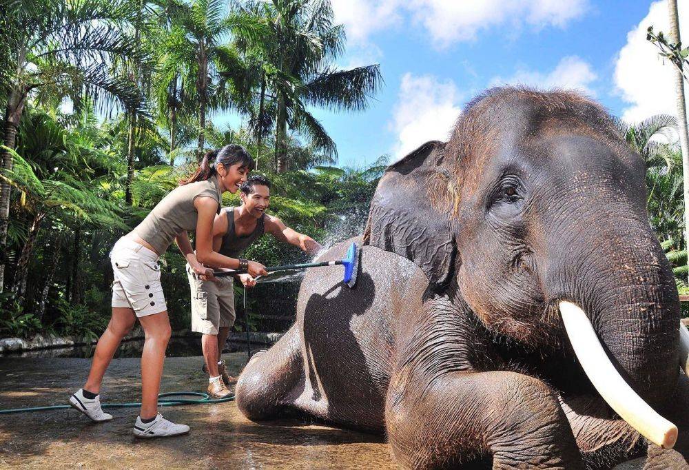 Tempat Wisata Untuk Liburan Sekolah Di Bali