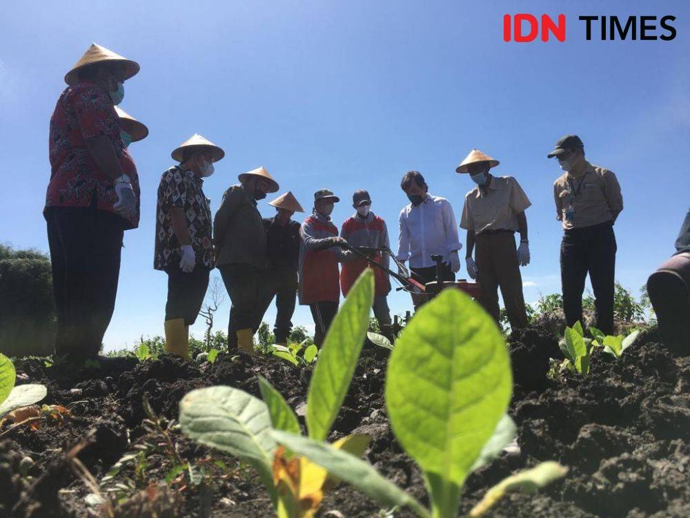 Asosiasi Petani Keluhkan Kampanye Negatif Sawit & Tembakau